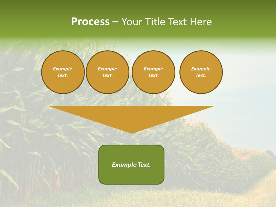 Blue Field White PowerPoint Template