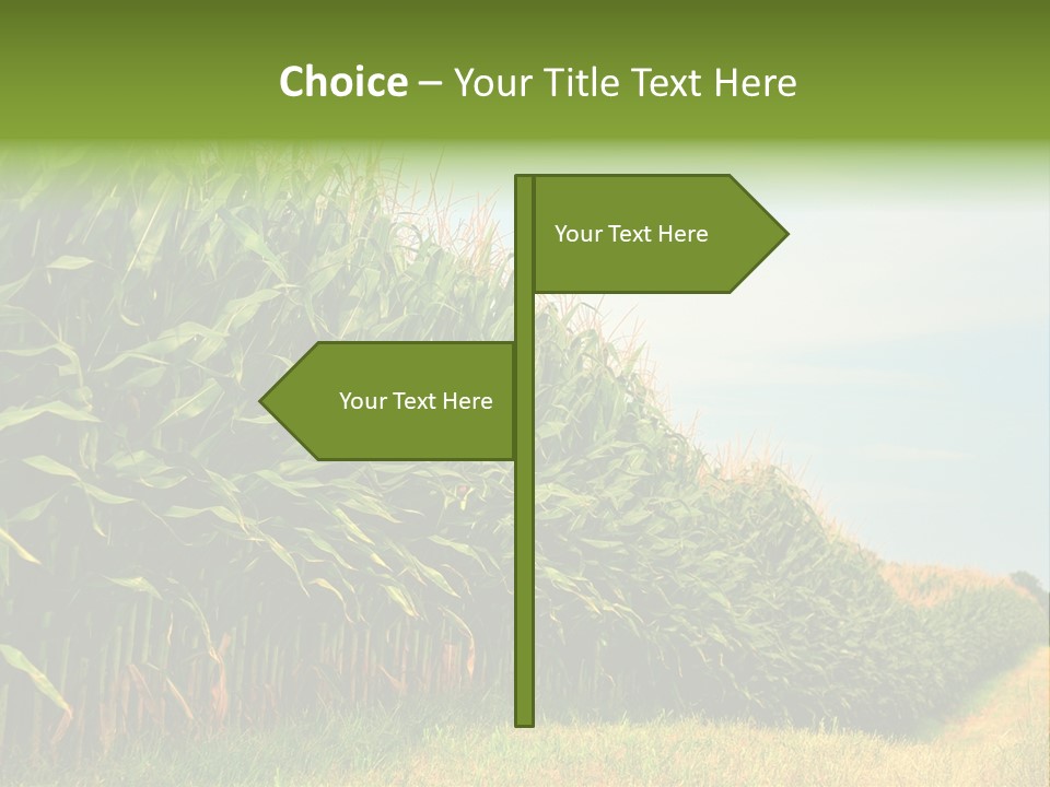 Blue Field White PowerPoint Template