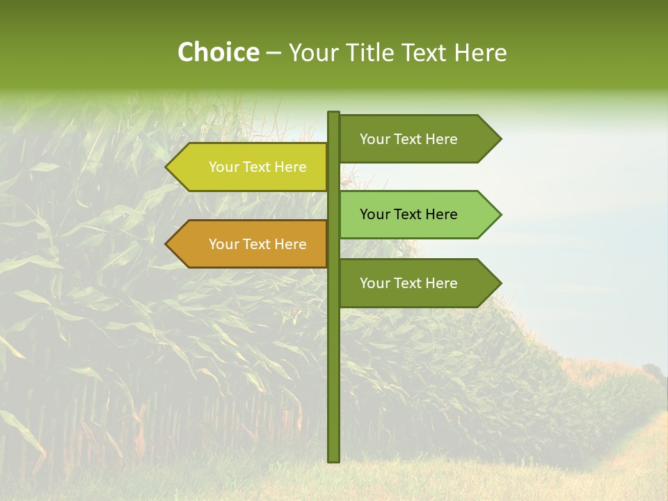 Blue Field White PowerPoint Template