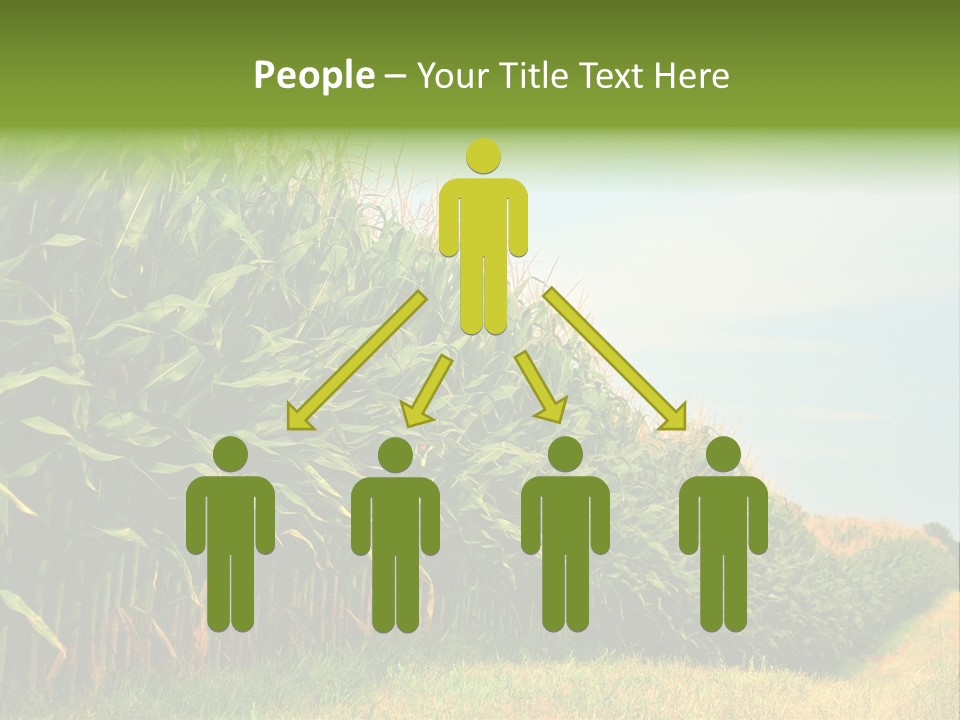 Blue Field White PowerPoint Template