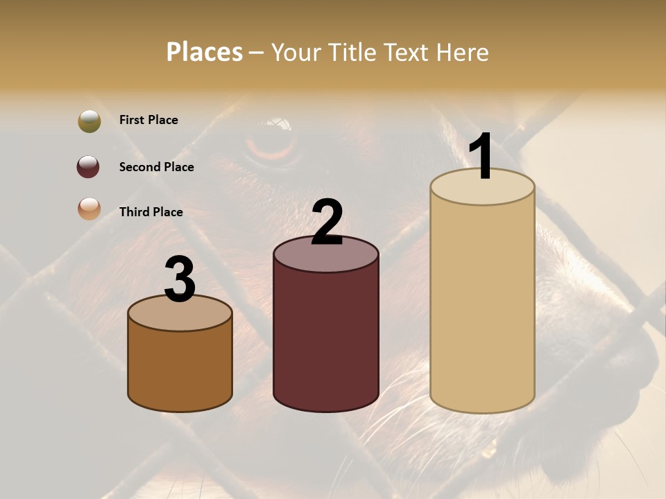 Fence Outdoor Canine PowerPoint Template