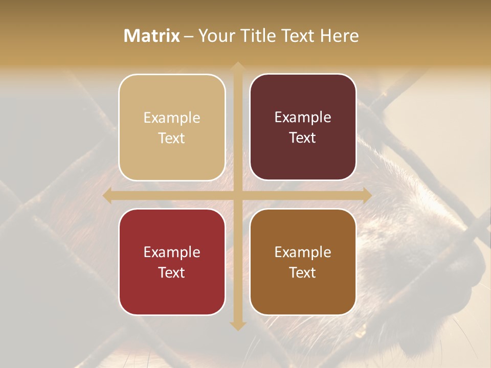 Fence Outdoor Canine PowerPoint Template