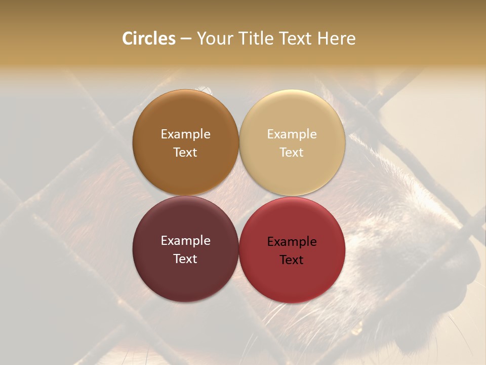 Fence Outdoor Canine PowerPoint Template