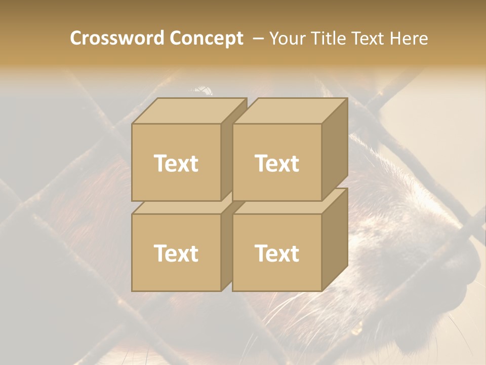 Fence Outdoor Canine PowerPoint Template