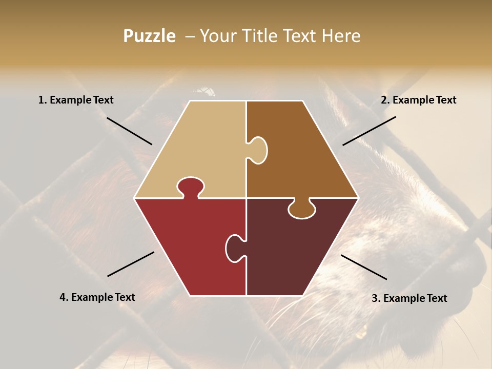 Fence Outdoor Canine PowerPoint Template