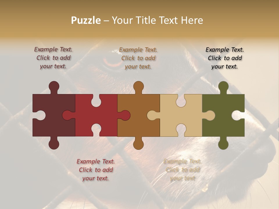 Fence Outdoor Canine PowerPoint Template