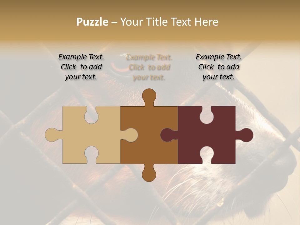 Fence Outdoor Canine PowerPoint Template