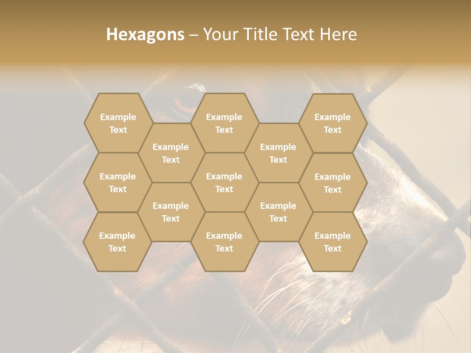 Fence Outdoor Canine PowerPoint Template