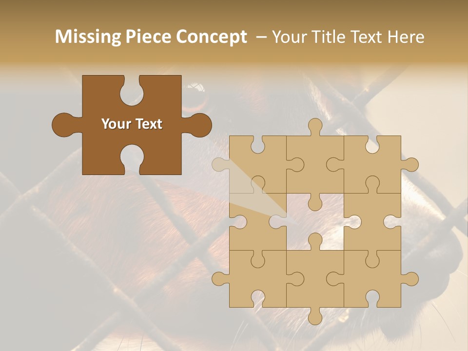 Fence Outdoor Canine PowerPoint Template