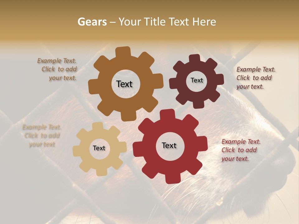 Fence Outdoor Canine PowerPoint Template