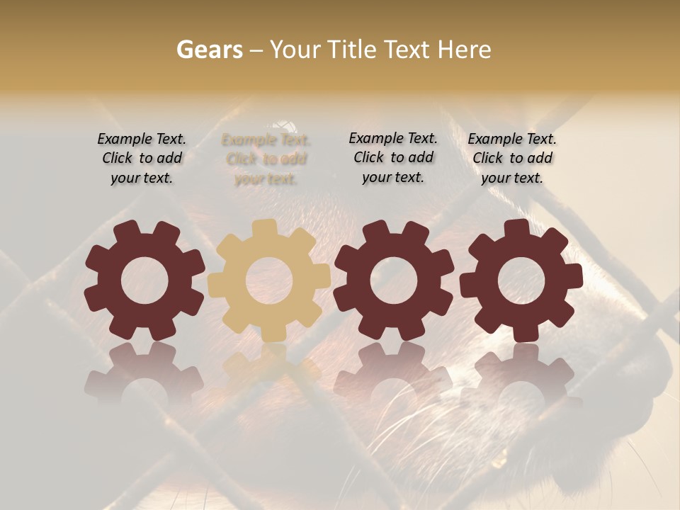 Fence Outdoor Canine PowerPoint Template