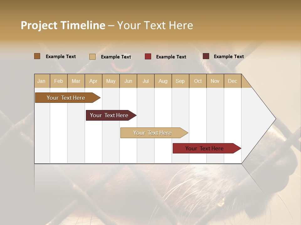 Fence Outdoor Canine PowerPoint Template