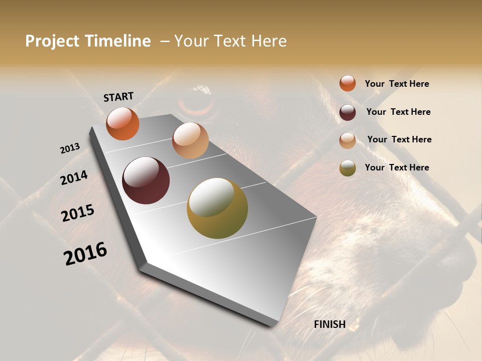 Fence Outdoor Canine PowerPoint Template