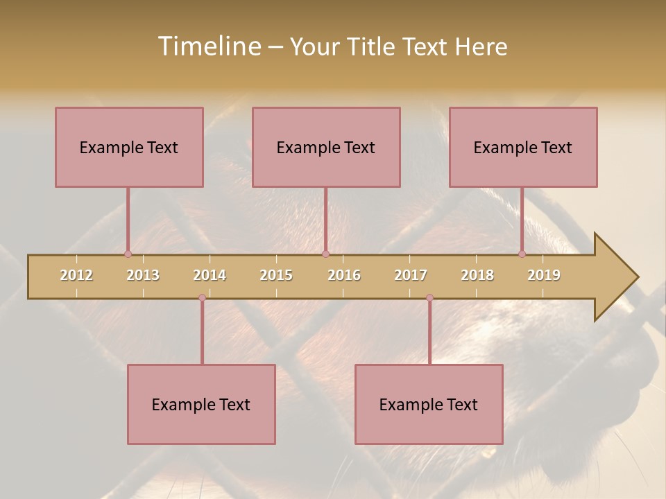 Fence Outdoor Canine PowerPoint Template
