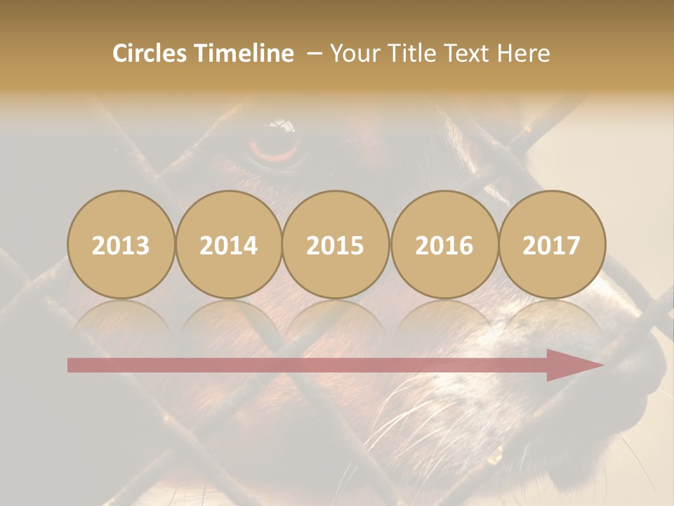 Fence Outdoor Canine PowerPoint Template