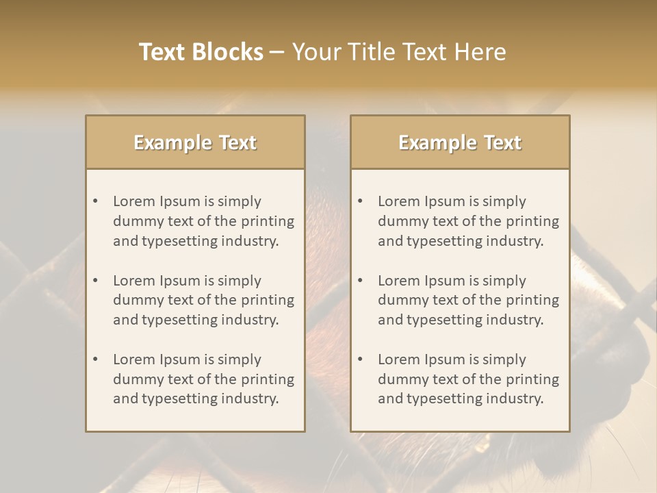 Fence Outdoor Canine PowerPoint Template