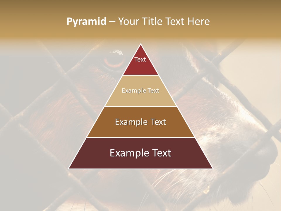 Fence Outdoor Canine PowerPoint Template