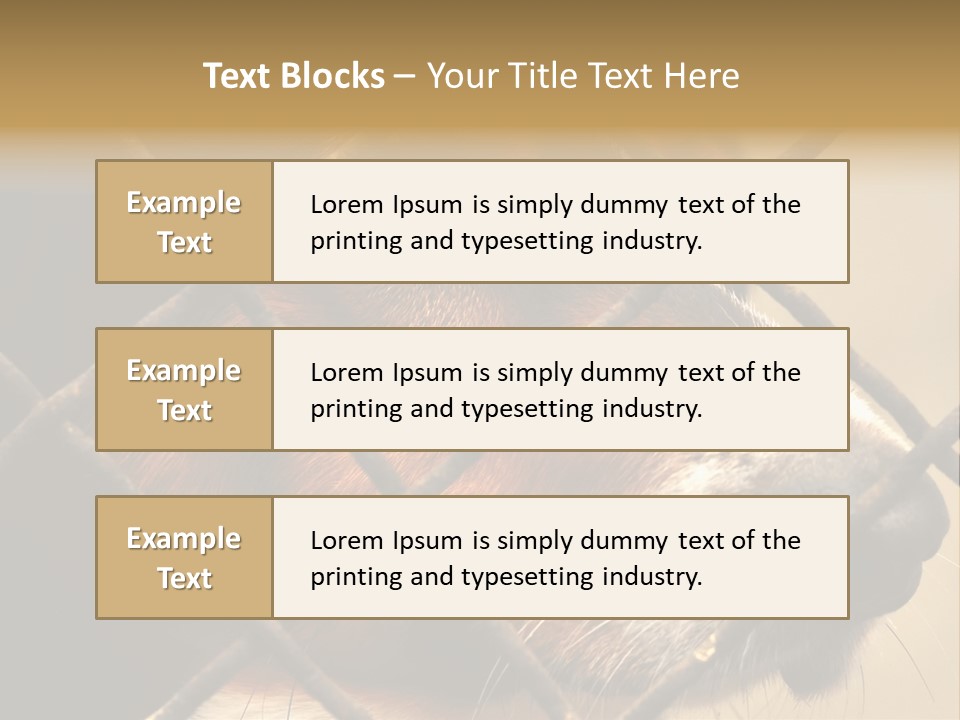 Fence Outdoor Canine PowerPoint Template