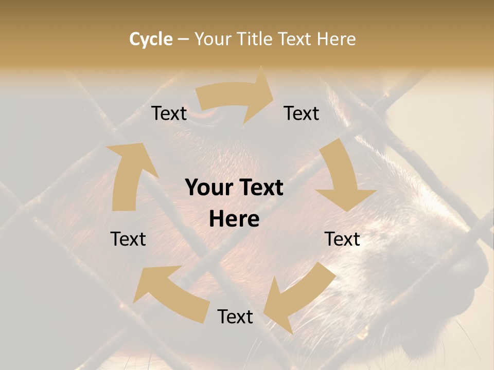 Fence Outdoor Canine PowerPoint Template