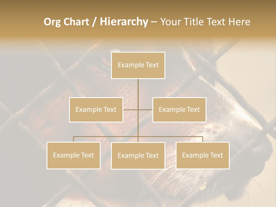 Fence Outdoor Canine PowerPoint Template
