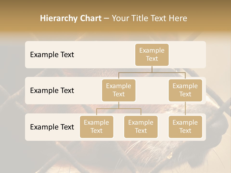 Fence Outdoor Canine PowerPoint Template