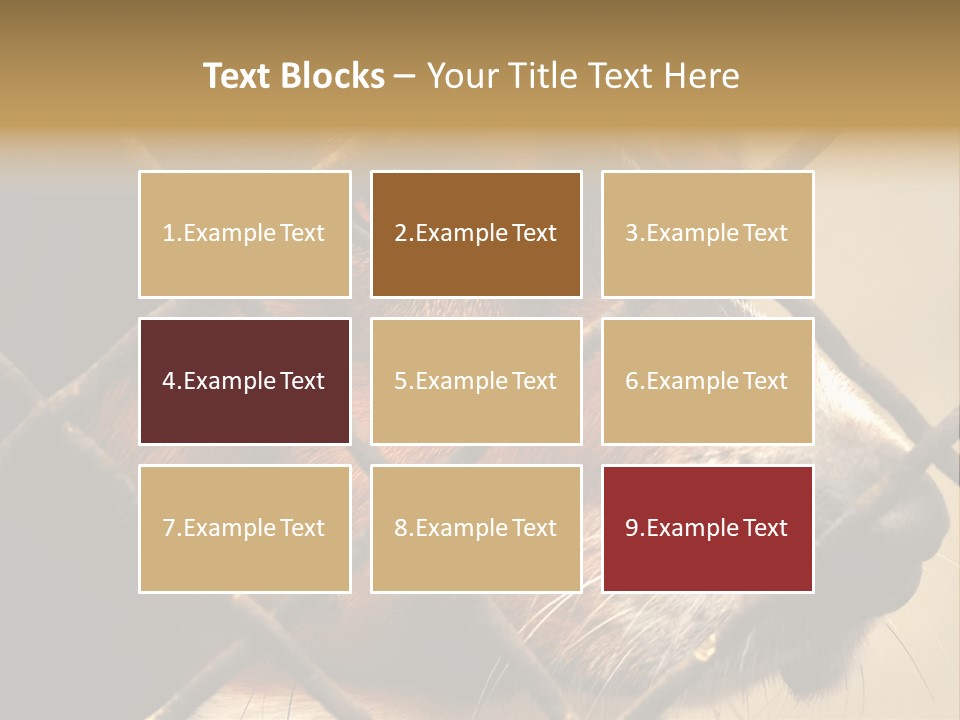 Fence Outdoor Canine PowerPoint Template