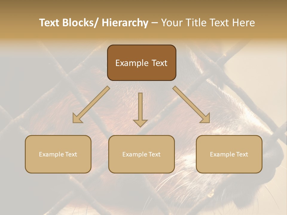 Fence Outdoor Canine PowerPoint Template