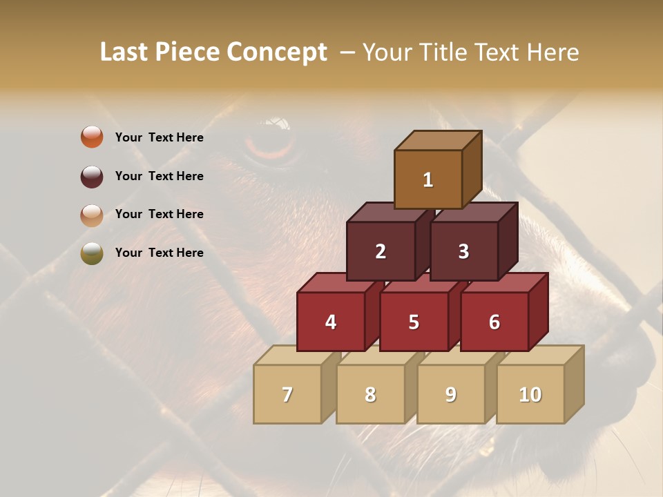 Fence Outdoor Canine PowerPoint Template