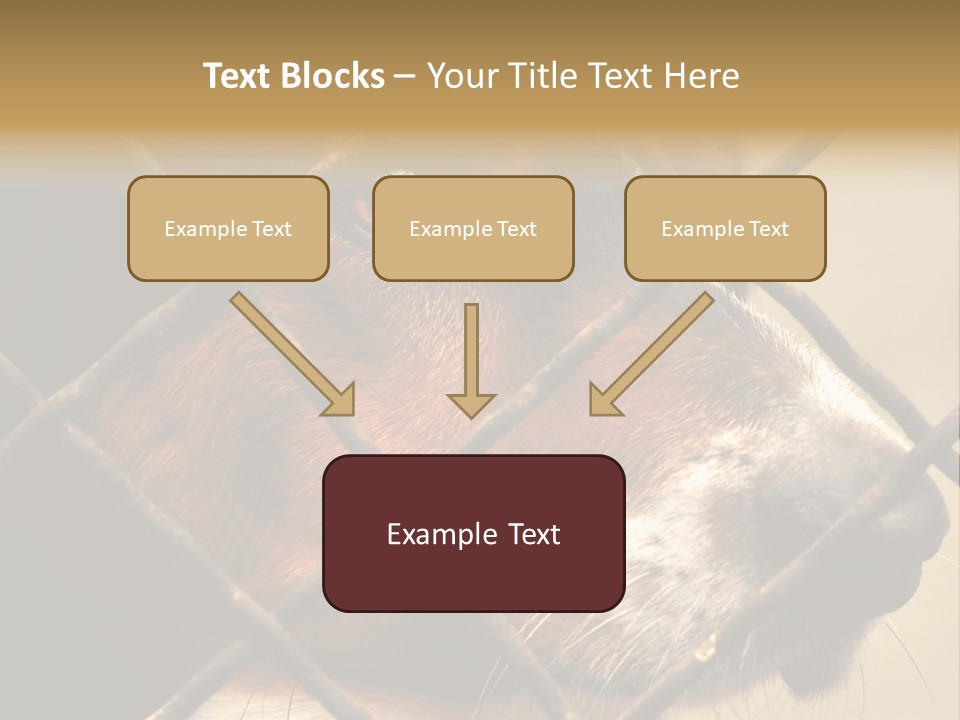 Fence Outdoor Canine PowerPoint Template