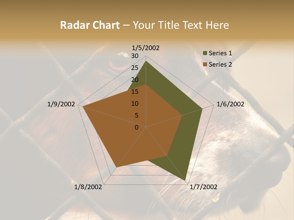 Fence Outdoor Canine PowerPoint Template