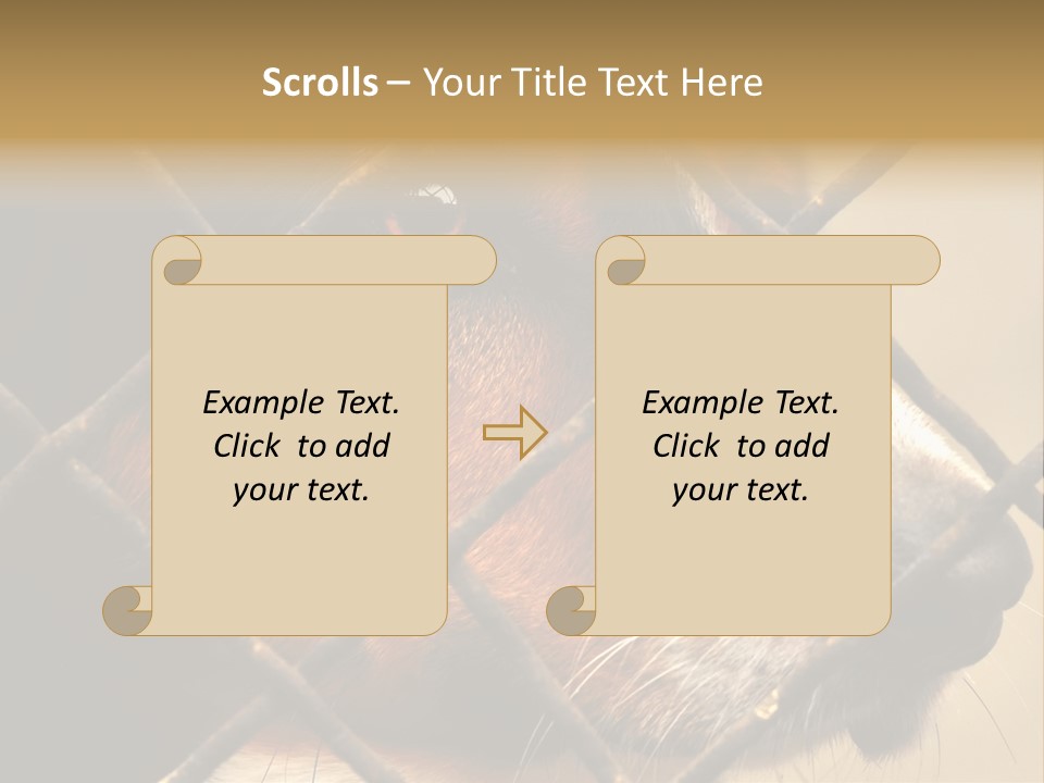 Fence Outdoor Canine PowerPoint Template