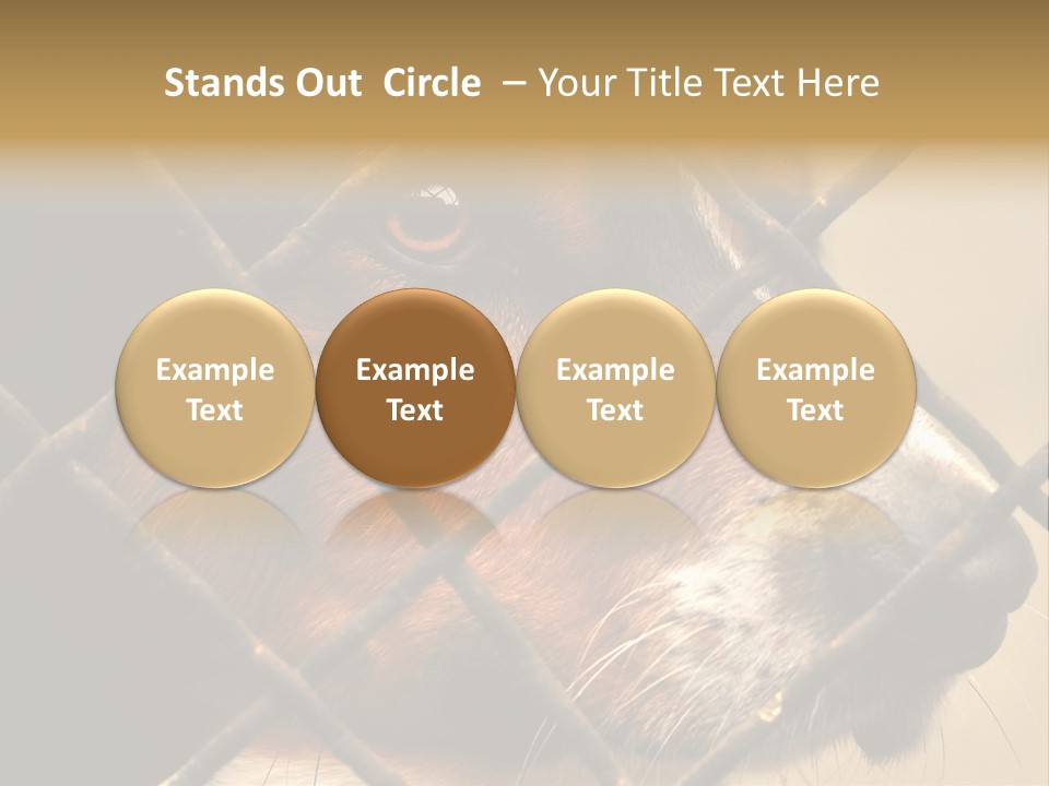 Fence Outdoor Canine PowerPoint Template