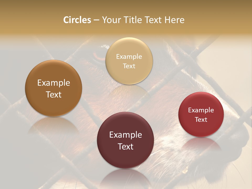 Fence Outdoor Canine PowerPoint Template