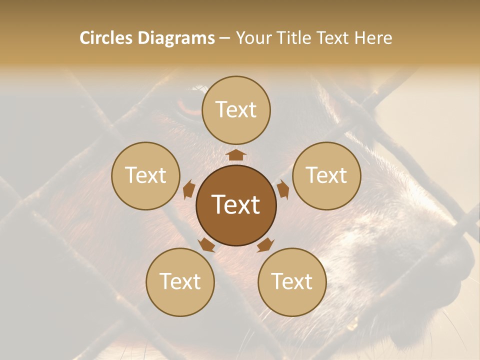 Fence Outdoor Canine PowerPoint Template