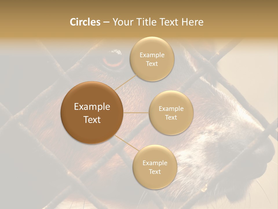 Fence Outdoor Canine PowerPoint Template