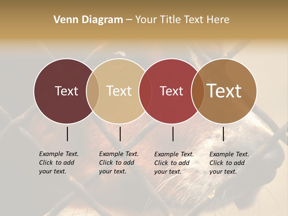 Fence Outdoor Canine PowerPoint Template