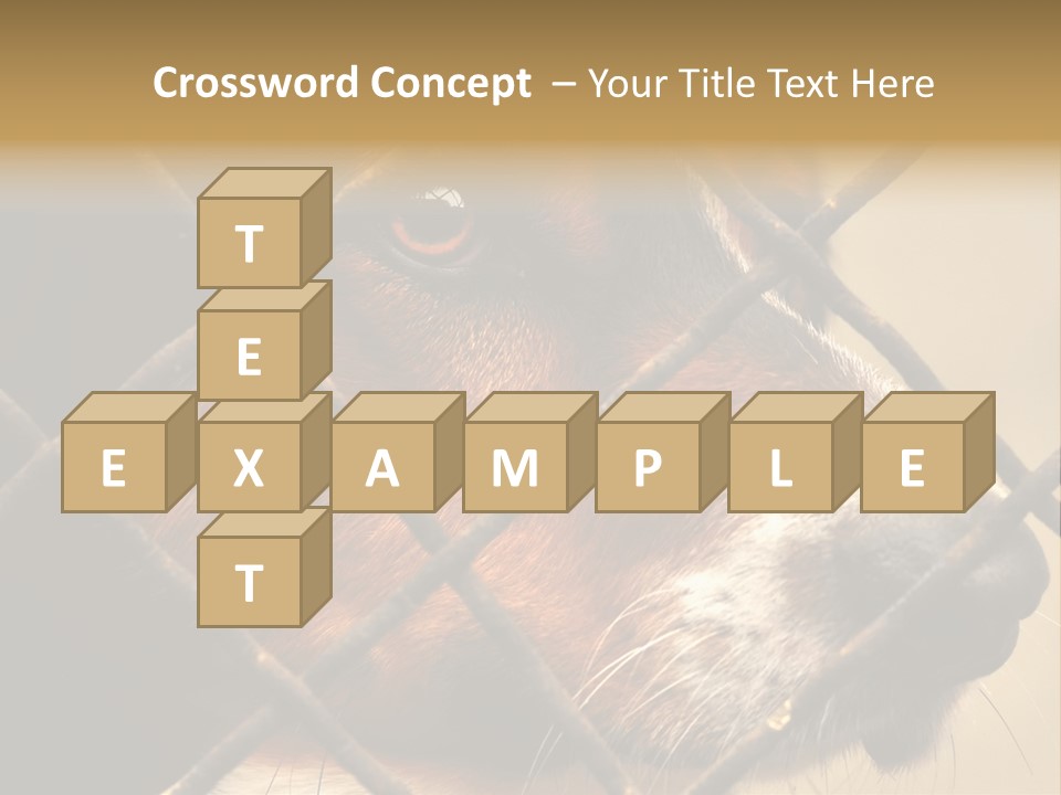 Fence Outdoor Canine PowerPoint Template