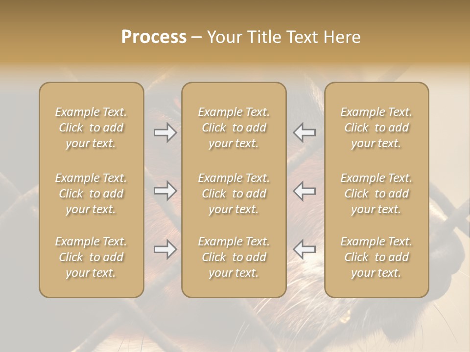 Fence Outdoor Canine PowerPoint Template