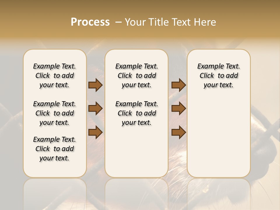 Fence Outdoor Canine PowerPoint Template