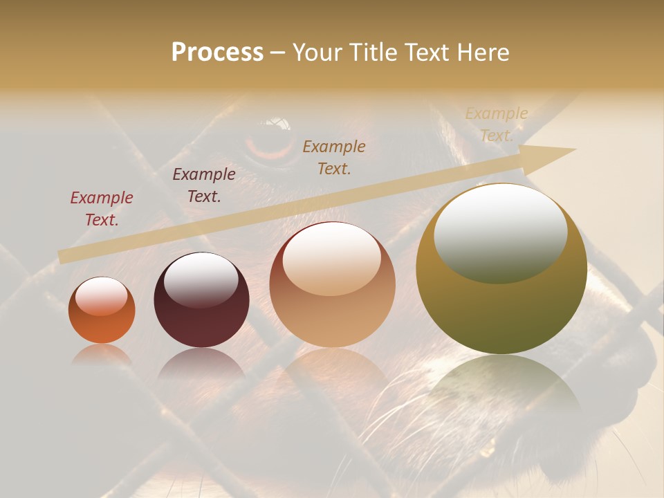 Fence Outdoor Canine PowerPoint Template