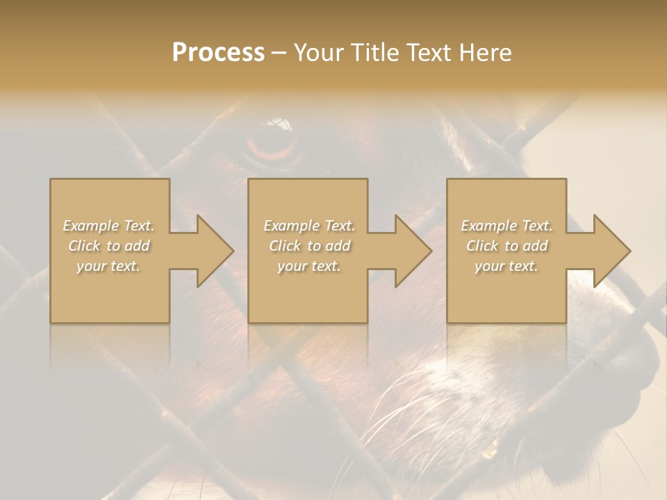 Fence Outdoor Canine PowerPoint Template