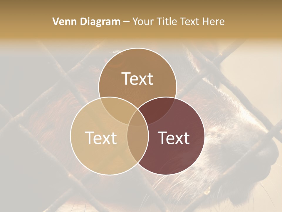 Fence Outdoor Canine PowerPoint Template