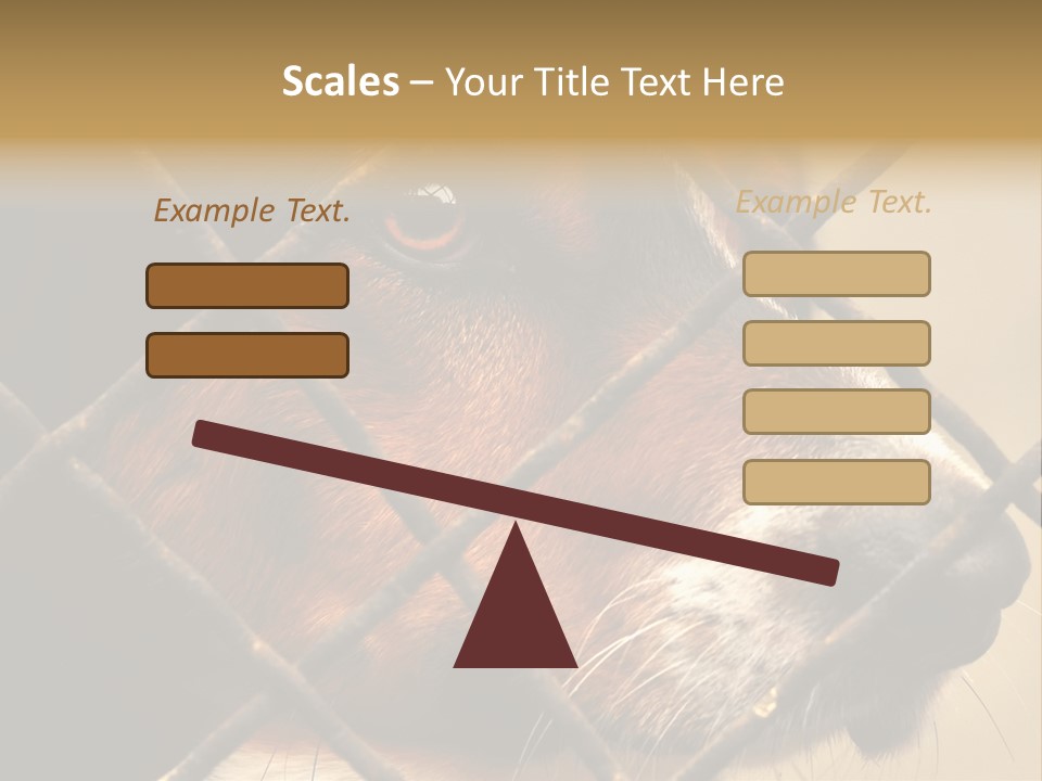 Fence Outdoor Canine PowerPoint Template