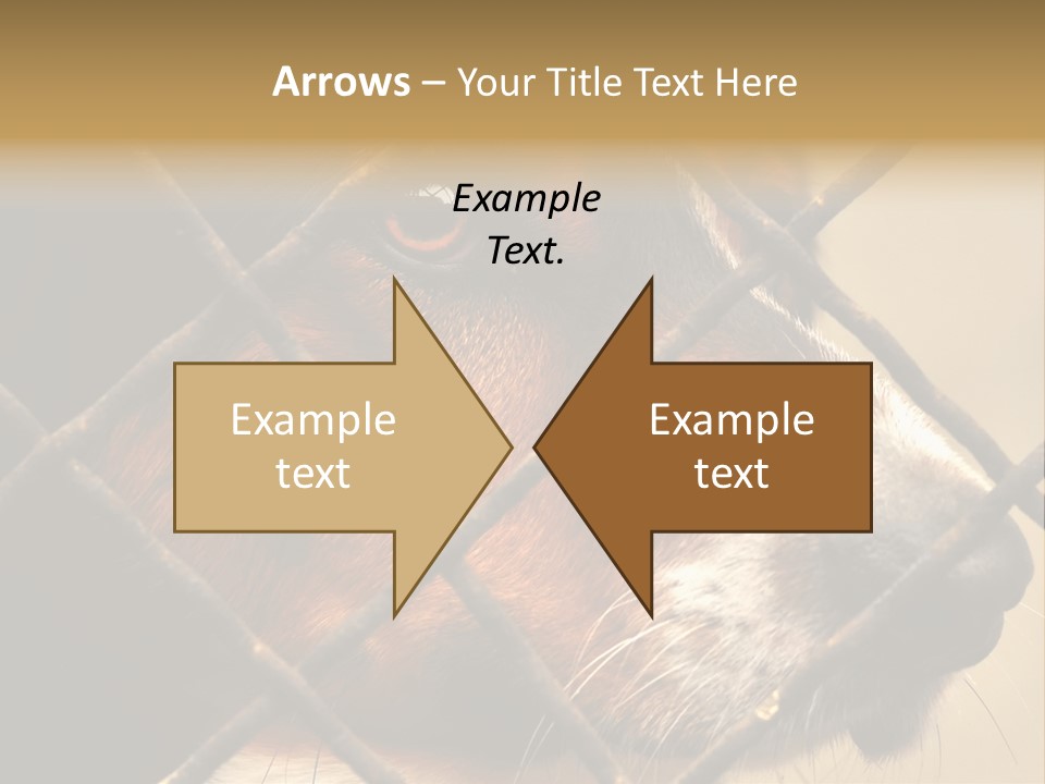 Fence Outdoor Canine PowerPoint Template