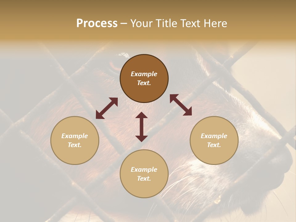 Fence Outdoor Canine PowerPoint Template