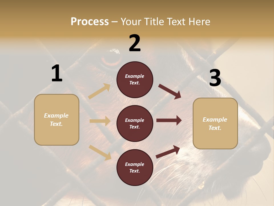 Fence Outdoor Canine PowerPoint Template