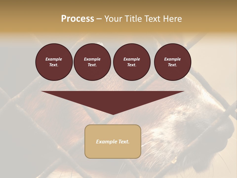 Fence Outdoor Canine PowerPoint Template