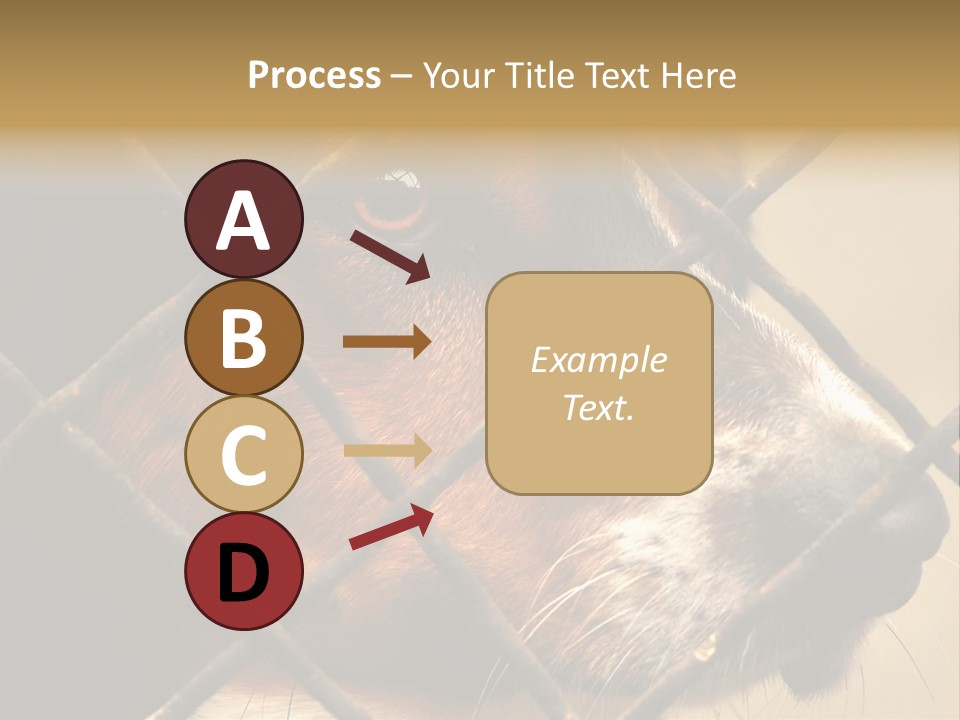 Fence Outdoor Canine PowerPoint Template