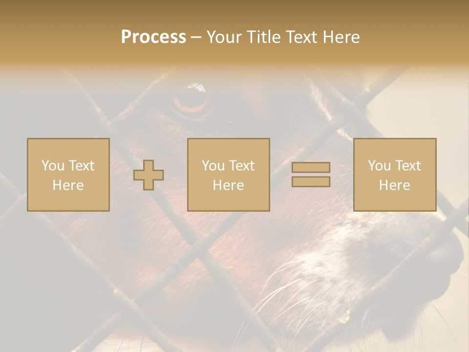 Fence Outdoor Canine PowerPoint Template