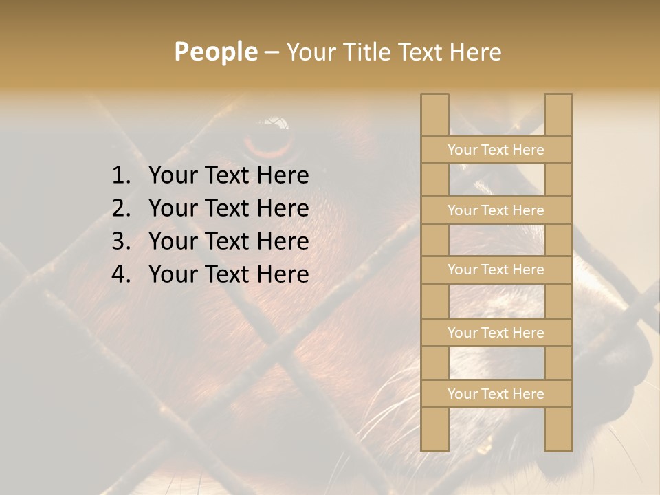 Fence Outdoor Canine PowerPoint Template